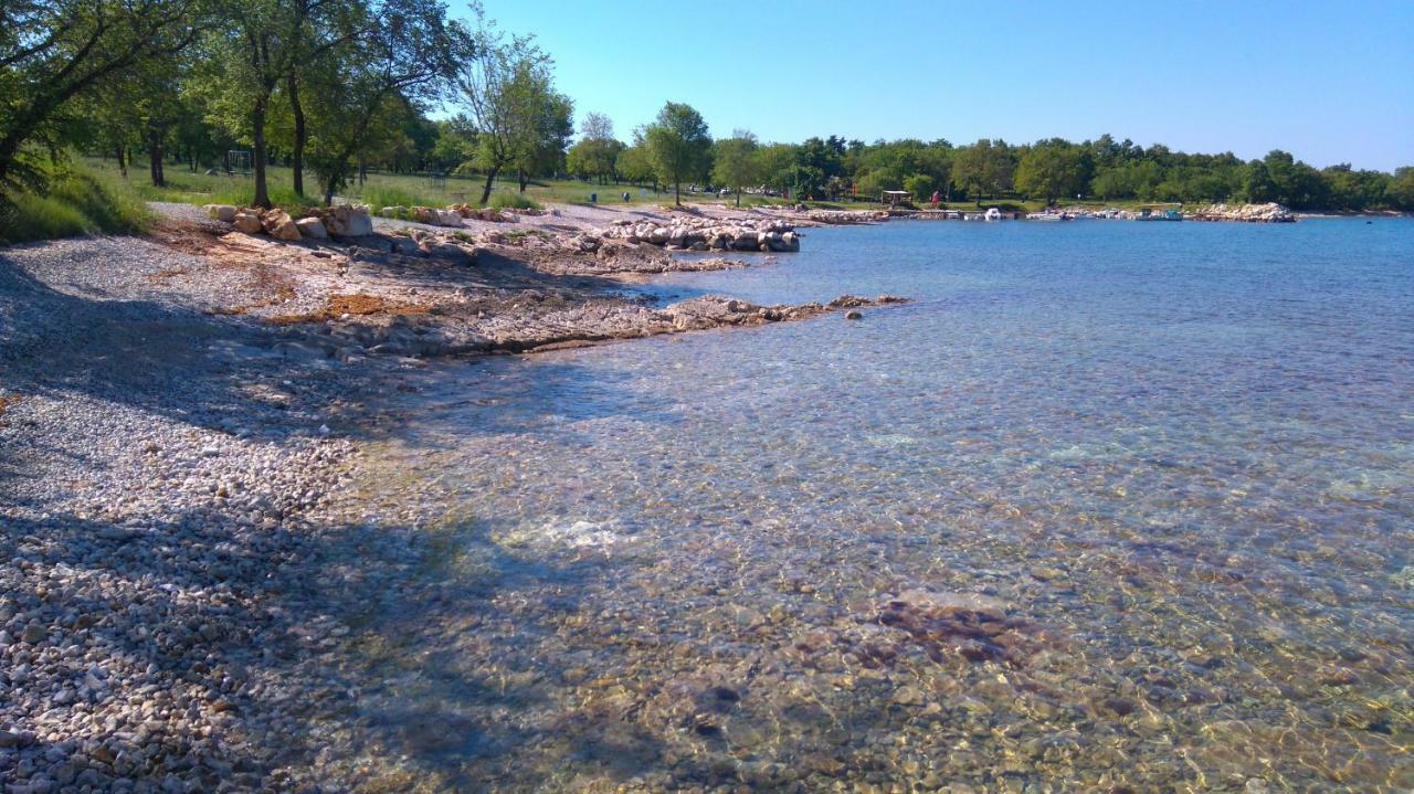 Stojakovic * Porec